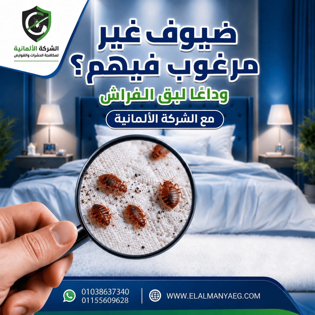 كشف ومعاينة بق الفراش - الألمانية فيجين